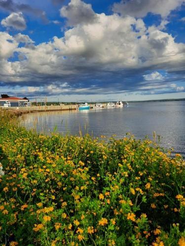 Willow House Inn B&B Pictou Eksteriør bilde